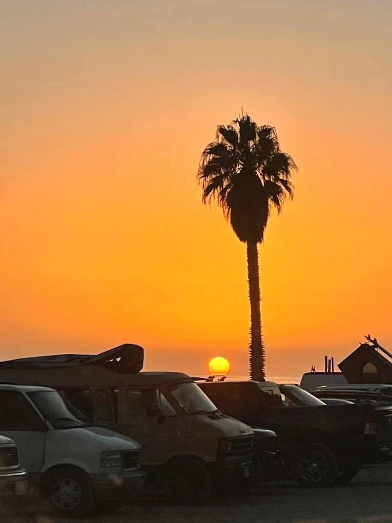 Huntington Beach sunset with a palm tree