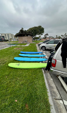 Surfboards lined up before a lesson